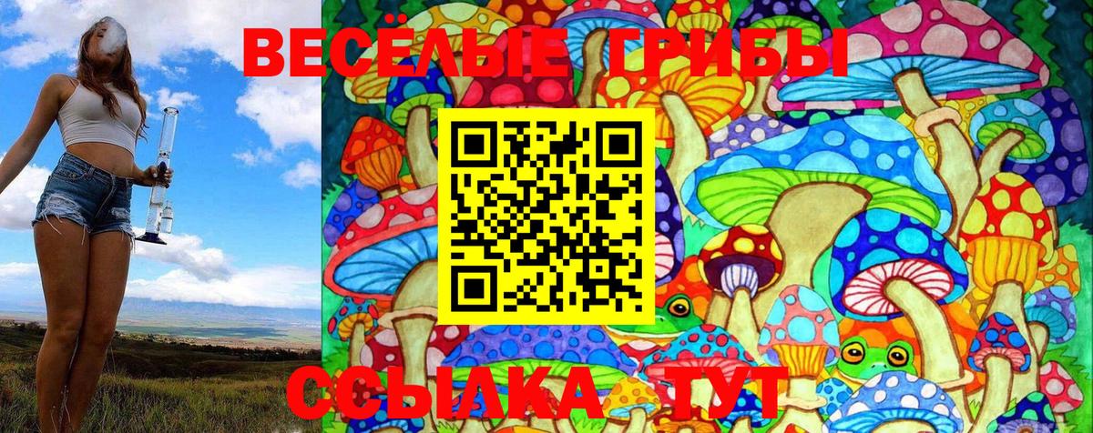 Псилоцибиновые грибы Magic Shrooms  Вход с VPN  Сибай 